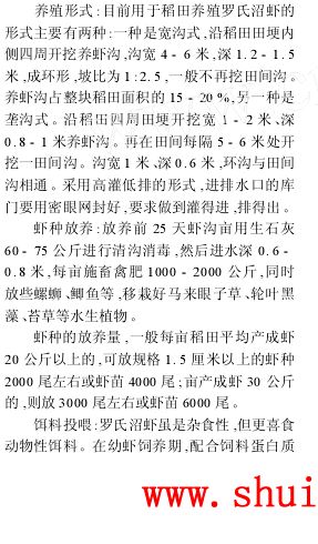 中國養殖基地 yzjidi.com
