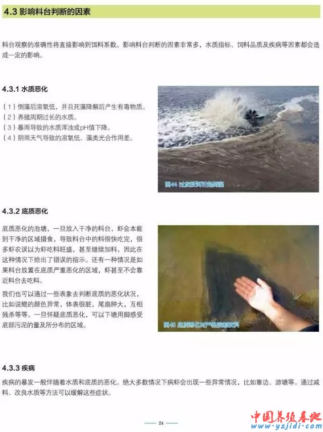 中國養殖基地 yzjidi.com