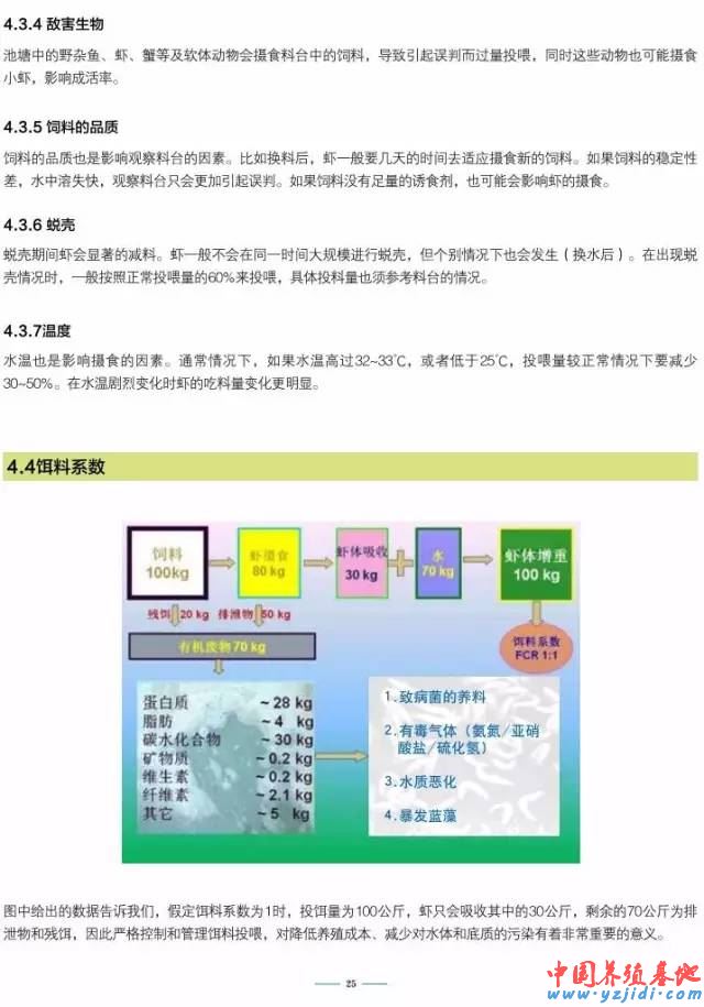 中國養殖基地 yzjidi.com
