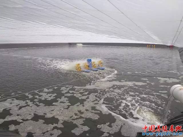 中國養殖基地 yzjidi.com