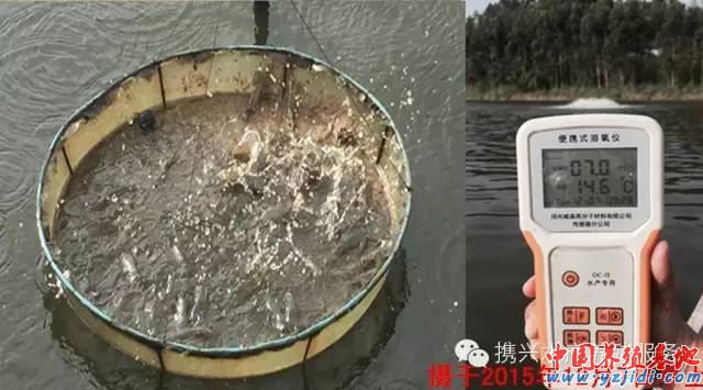 中國養殖基地 yzjidi.com