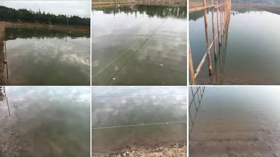 中國養殖基地 yzjidi.com