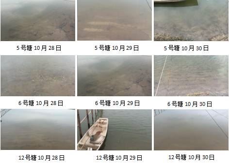 中國養殖基地 yzjidi.com