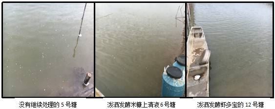 中國養殖基地 yzjidi.com