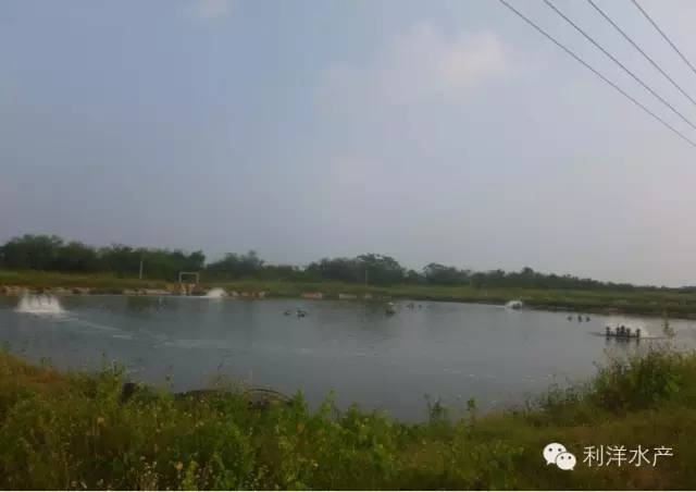 中國養殖基地 yzjidi.com