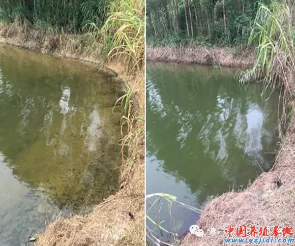 中國養殖基地 yzjidi.com