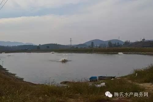 中國養殖基地 yzjidi.com