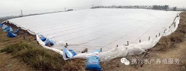 中國養殖基地 yzjidi.com