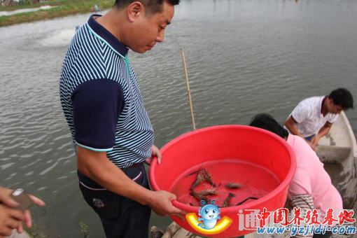 中國養殖基地 yzjidi.com