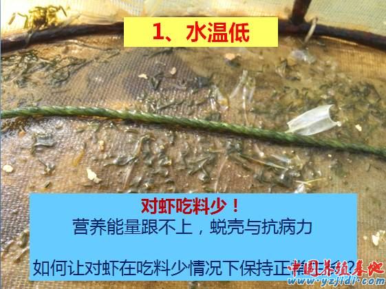 中國養殖基地 yzjidi.com