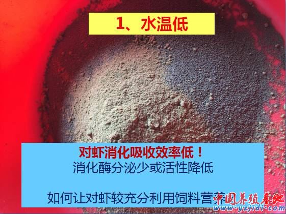 中國養殖基地 yzjidi.com