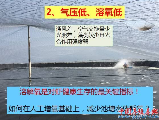中國養殖基地 yzjidi.com