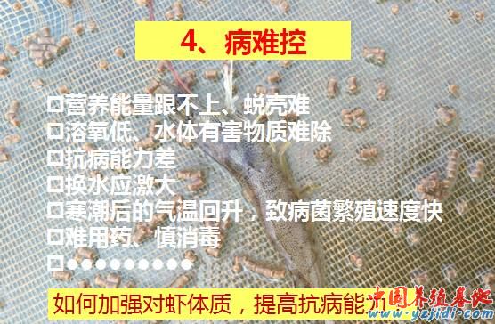 中國養殖基地 yzjidi.com