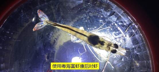 中國養殖基地 yzjidi.com