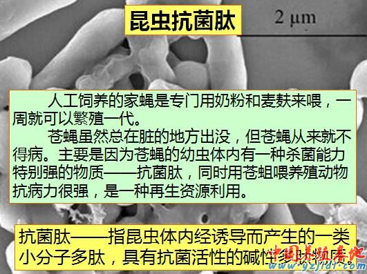 中國養殖基地 yzjidi.com