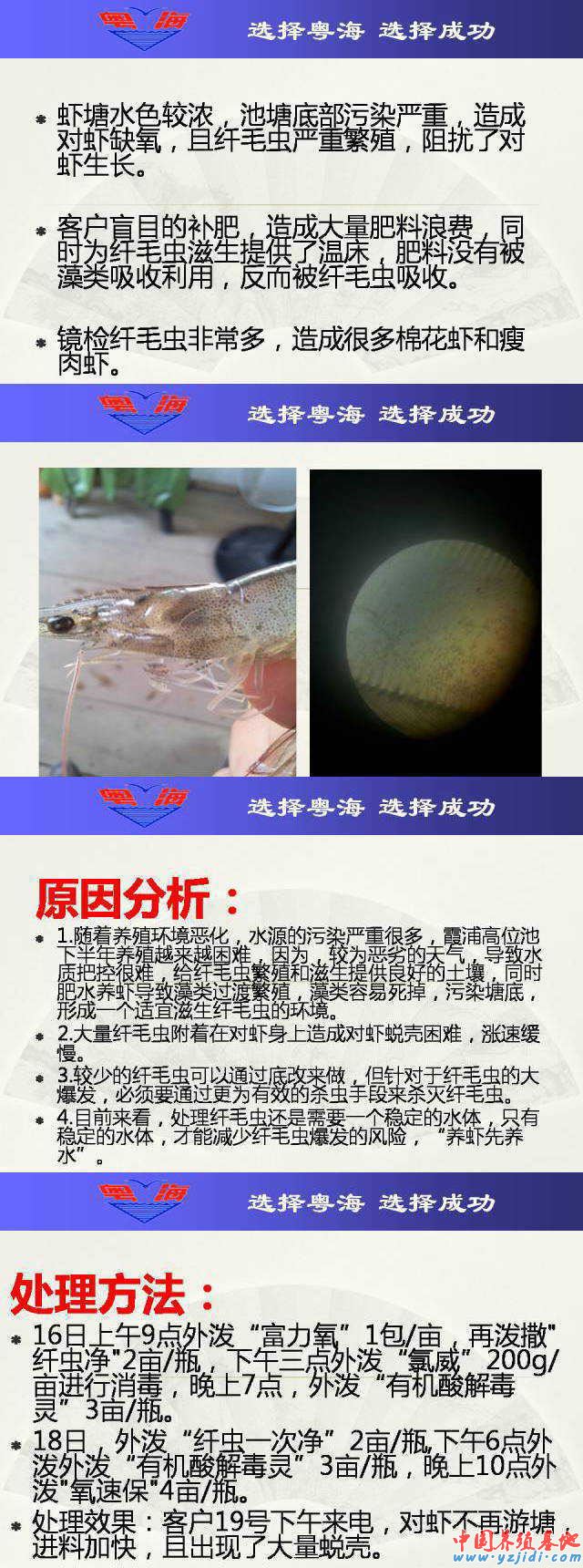 中國養殖基地 yzjidi.com