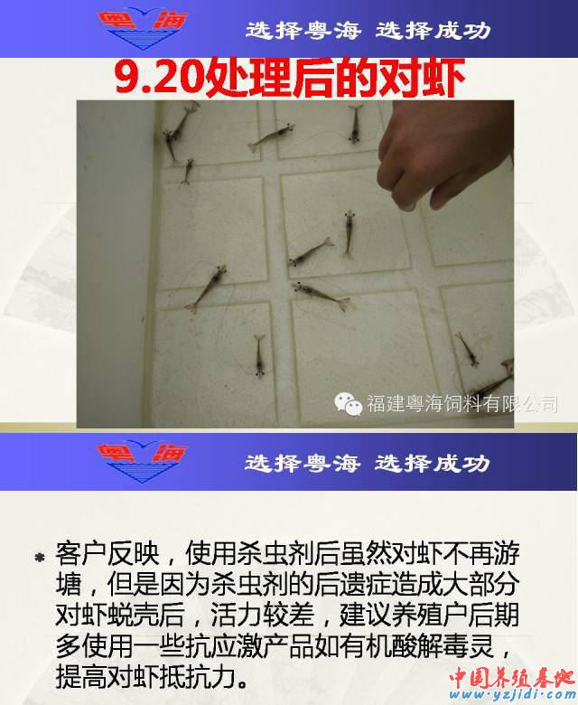 中國養殖基地 yzjidi.com