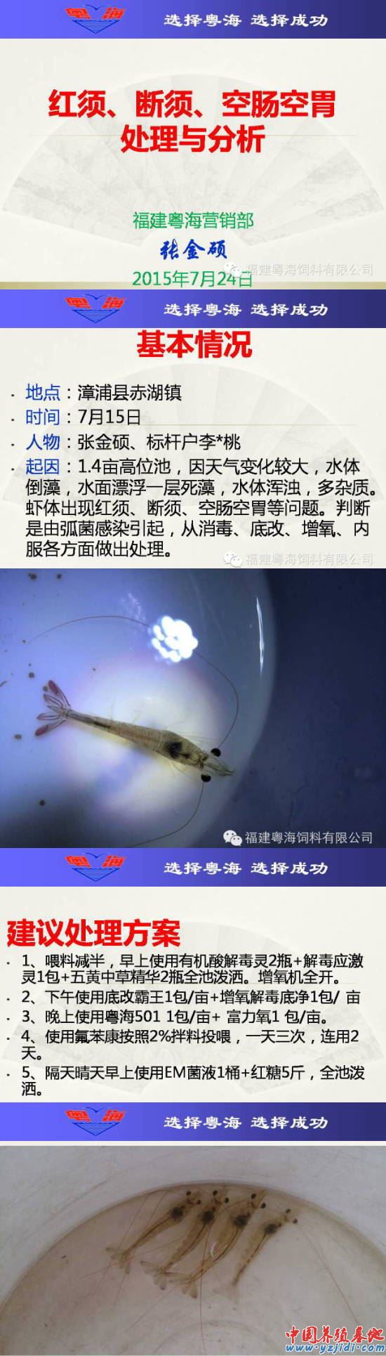 中國養殖基地 yzjidi.com