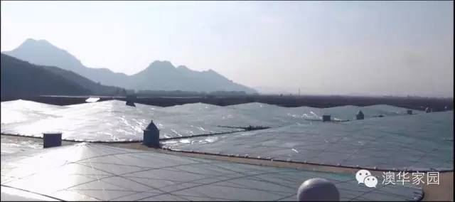 中國養殖基地 yzjidi.com