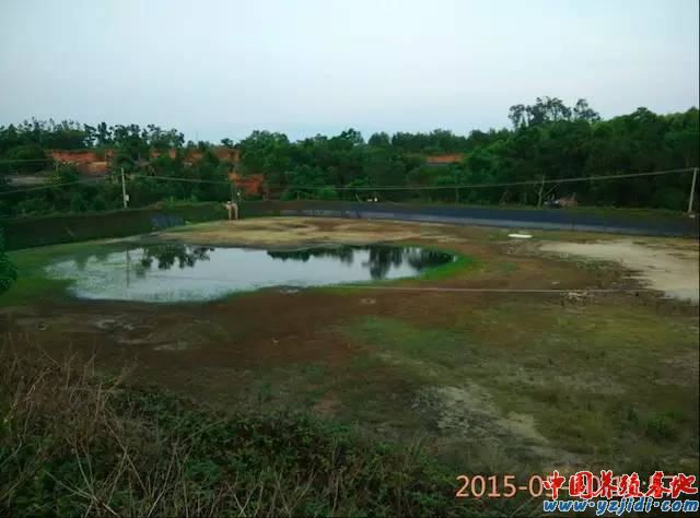 中國養殖基地 yzjidi.com