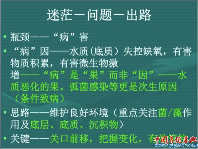 中國養殖基地 yzjidi.com