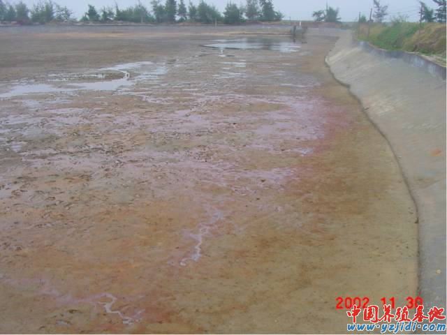 中國養殖基地 yzjidi.com