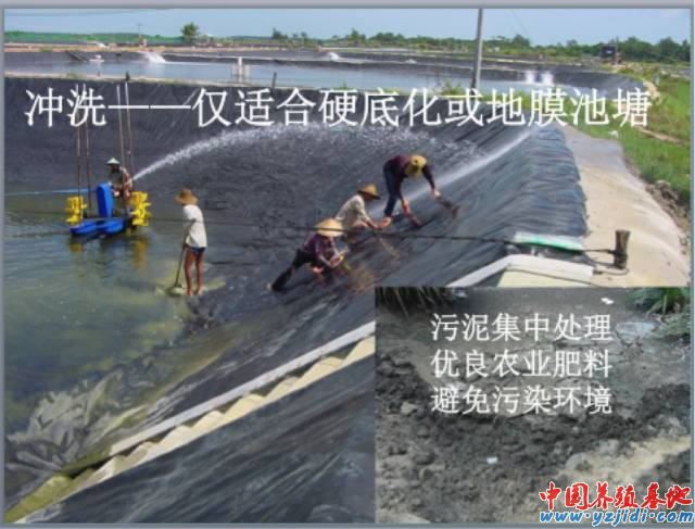 中國養殖基地 yzjidi.com