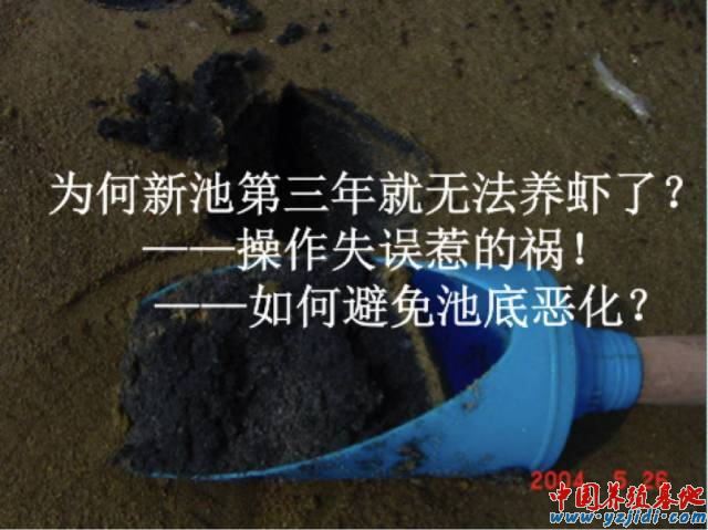 中國養殖基地 yzjidi.com
