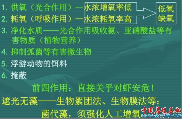 中國養殖基地 yzjidi.com