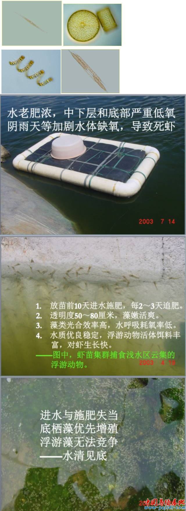 中國養殖基地 yzjidi.com