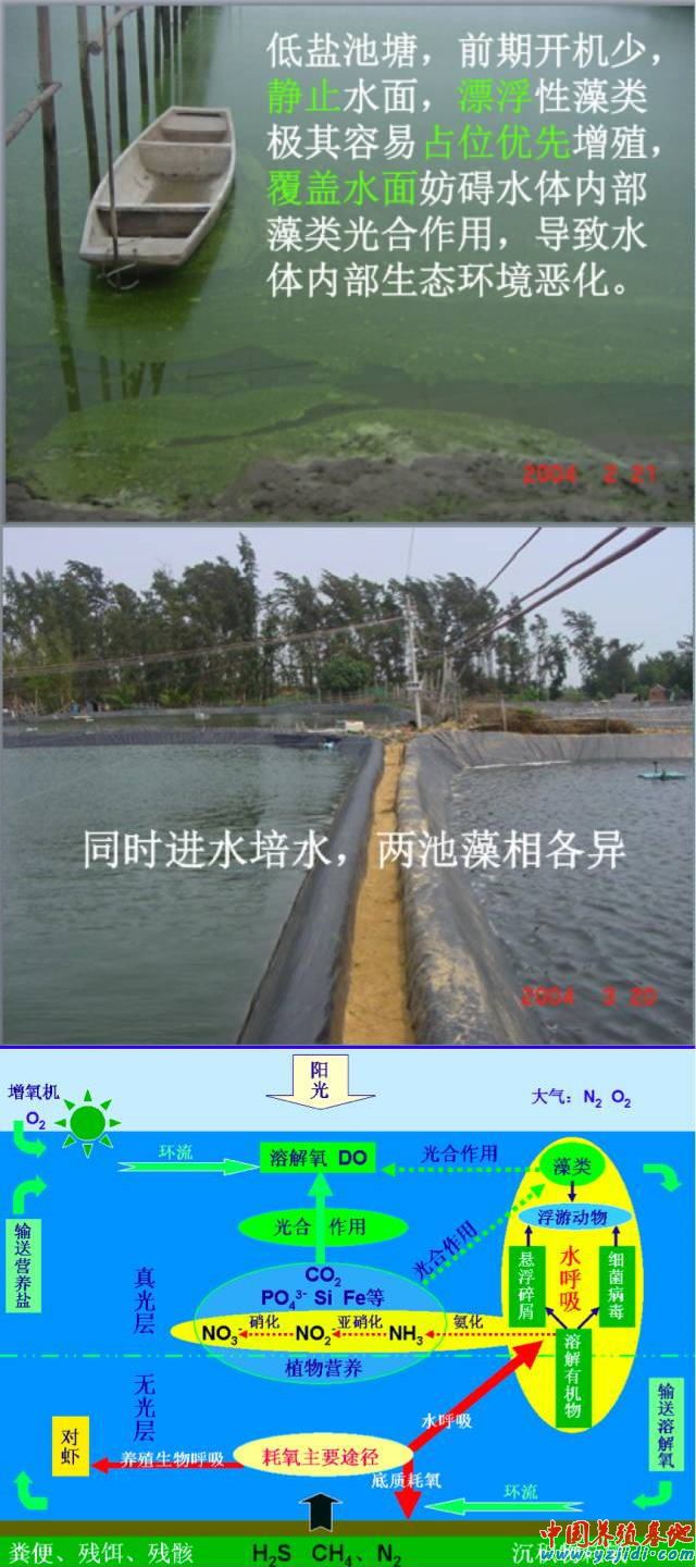 中國養殖基地 yzjidi.com