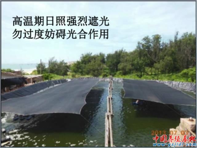 中國養殖基地 yzjidi.com