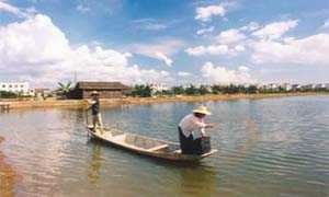 中國養殖基地 yzjidi.com