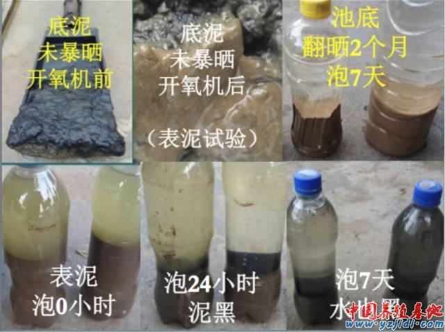 中國養殖基地 yzjidi.com