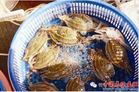 中國養殖基地 yzjidi.com