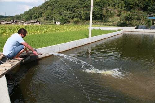 中國養殖基地 yzjidi.com