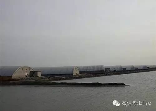 中國養殖基地 yzjidi.com