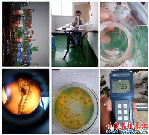 中國養殖基地 yzjidi.com