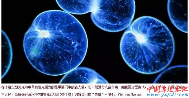 中國養殖基地 yzjidi.com