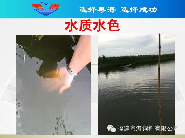 中國養殖基地 yzjidi.com