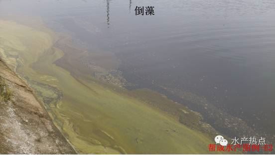 中國養殖基地 yzjidi.com