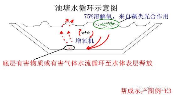中國養殖基地 yzjidi.com
