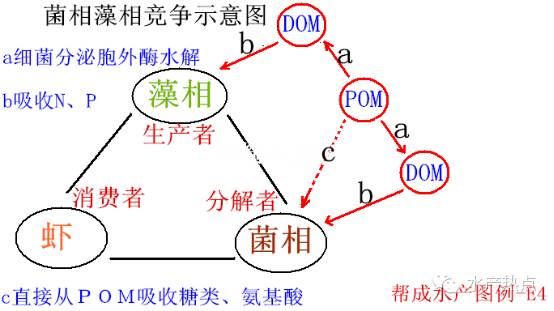 中國養殖基地 yzjidi.com