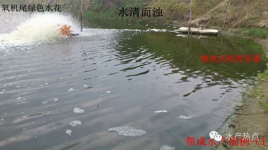 中國養殖基地 yzjidi.com