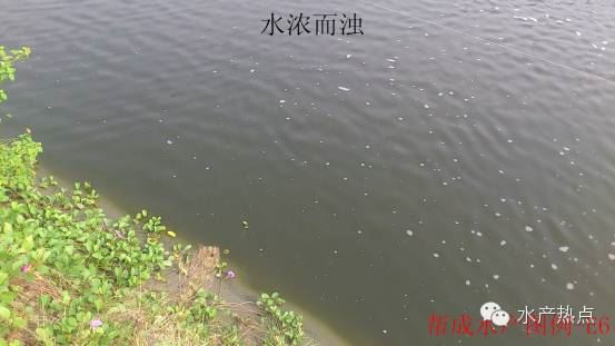 中國養殖基地 yzjidi.com