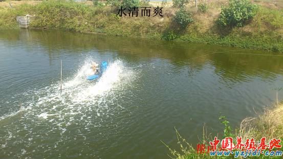 中國養殖基地 yzjidi.com
