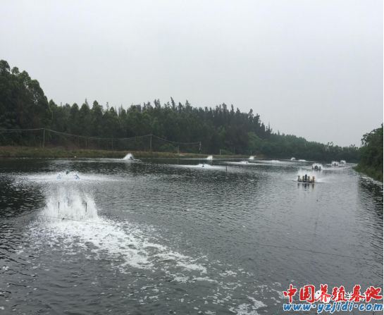中國養殖基地 yzjidi.com