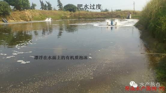 中國養殖基地 yzjidi.com