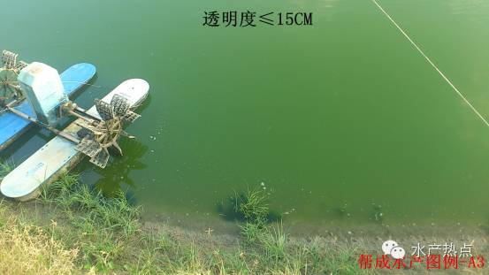 中國養殖基地 yzjidi.com