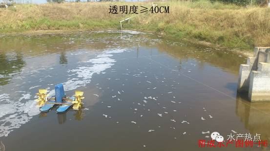 中國養殖基地 yzjidi.com